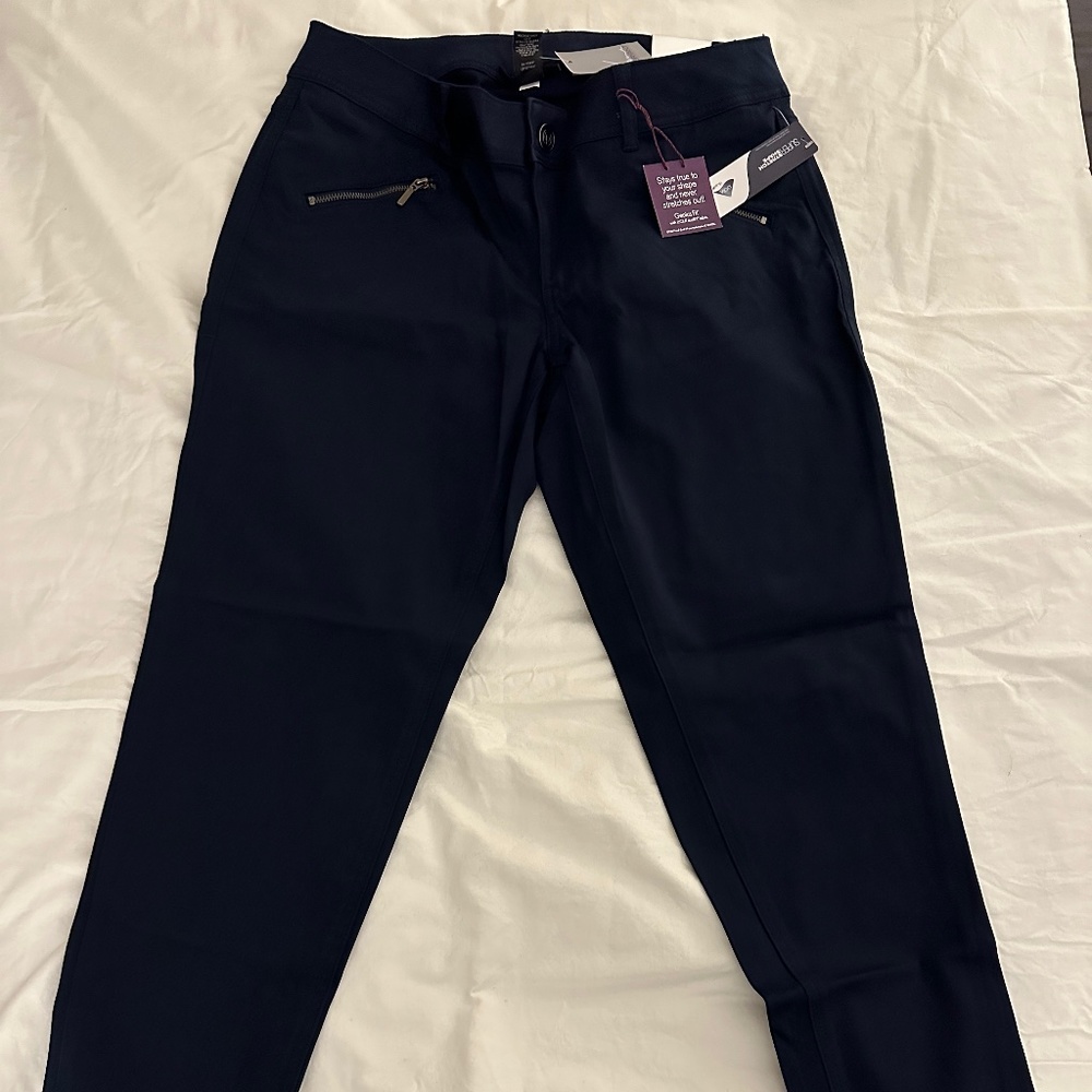 Lane Bryant Blue Skinny Pants